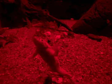 サンシャイン水族館に投稿された画像（2026/9/21）