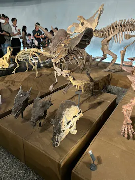 福井県立恐竜博物館に投稿された画像（2026/9/21）