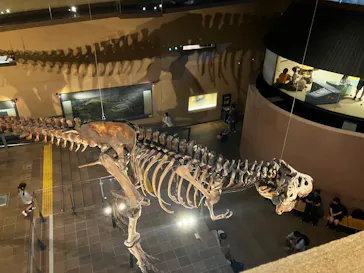 とぶ　空を旅する生きものたちの大冒険 (北九州市立自然史・歴史博物館（いのちのたび博物館))に投稿された画像（2026/9/21）