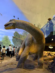 福井県立恐竜博物館に投稿された画像（2026/9/21）