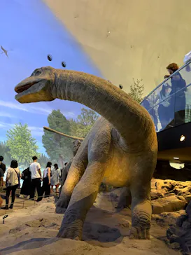 福井県立恐竜博物館に投稿された画像（2026/9/21）
