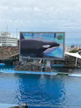 名古屋港水族館に投稿された画像（2026/9/21）