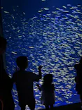 大分マリーンパレス水族館 「うみたまご」に投稿された画像（2026/9/21）