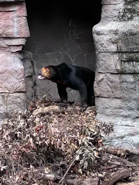 天王寺動物園に投稿された画像（2026/9/21）