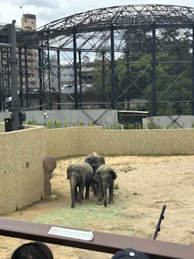 天王寺動物園に投稿された画像（2026/9/21）