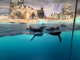 名古屋港水族館に投稿された画像（2026/9/21）