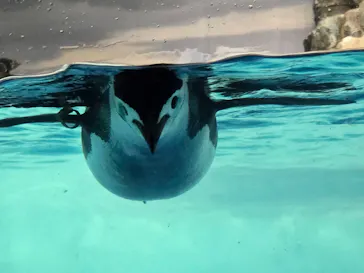 名古屋港水族館に投稿された画像（2026/9/21）