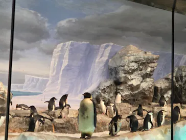 名古屋港水族館に投稿された画像（2026/9/21）
