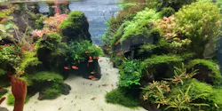 すみだ水族館に投稿された画像（2026/9/21）