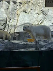 男鹿水族館GAOに投稿された画像（2026/9/21）