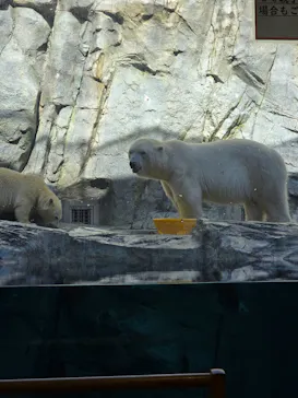 男鹿水族館GAOに投稿された画像（2026/9/21）