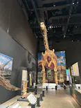 福井県立恐竜博物館に投稿された画像（2026/9/21）