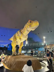 福井県立恐竜博物館に投稿された画像（2026/9/21）