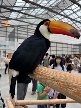 掛川花鳥園に投稿された画像（2026/9/21）