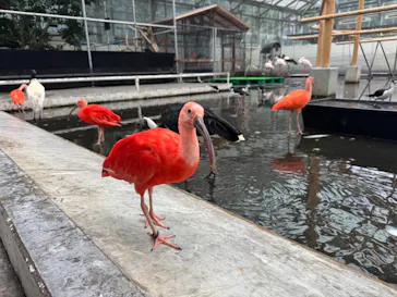 掛川花鳥園に投稿された画像（2026/9/21）