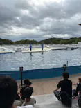 京都水族館に投稿された画像（2026/9/21）