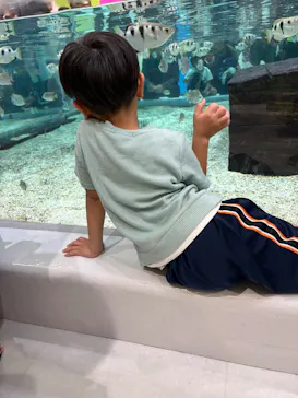 NIFREL（ニフレル）に投稿された画像（2026/9/21）