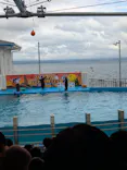のとじま水族館に投稿された画像（2026/9/21）