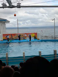 のとじま水族館に投稿された画像（2026/9/21）