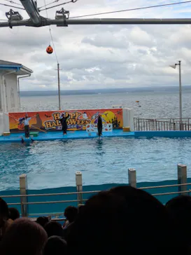 のとじま水族館に投稿された画像（2026/9/21）