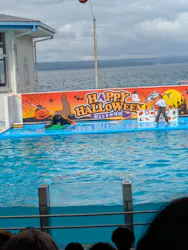 のとじま水族館に投稿された画像（2026/9/21）