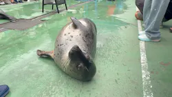 ゼロ距離水族館 伊勢シーパラダイスに投稿された画像（2026/9/21）