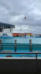 のとじま水族館に投稿された画像（2026/9/21）