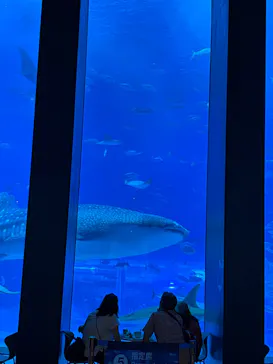 沖縄美ら海水族館に投稿された画像（2026/9/21）