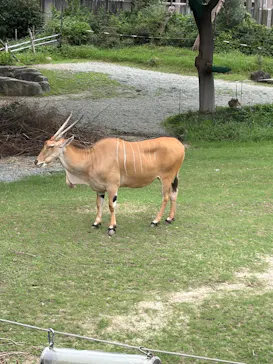 天王寺動物園に投稿された画像（2026/9/21）