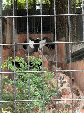 天王寺動物園に投稿された画像（2026/9/21）