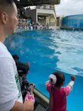 新江ノ島水族館に投稿された画像（2026/9/21）