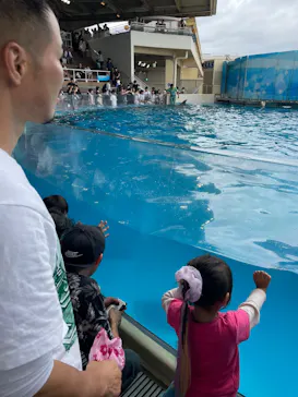 新江ノ島水族館に投稿された画像（2026/9/21）