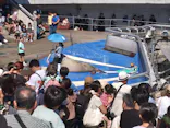 大分マリーンパレス水族館 「うみたまご」に投稿された画像（2026/9/21）