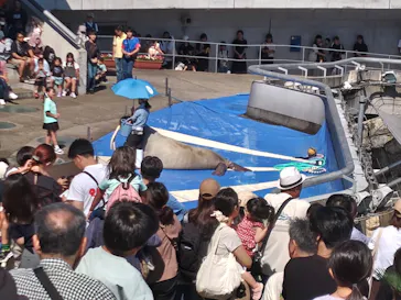 大分マリーンパレス水族館 「うみたまご」に投稿された画像（2026/9/21）