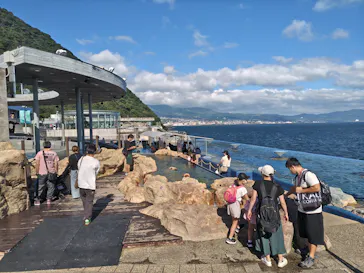 大分マリーンパレス水族館 「うみたまご」に投稿された画像（2026/9/21）