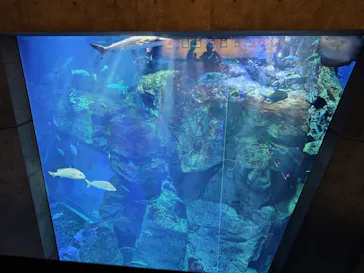 大分マリーンパレス水族館 「うみたまご」に投稿された画像（2026/9/21）