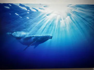 KAGAYA 星空の世界展（石川会場）に投稿された画像（2026/9/21）