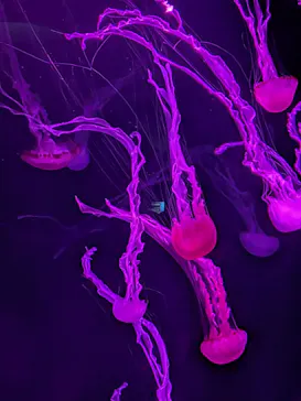 サンシャイン水族館に投稿された画像（2026/9/21）