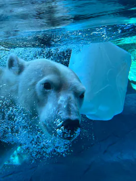天王寺動物園に投稿された画像（2026/9/21）