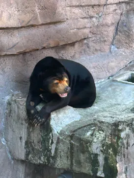 天王寺動物園に投稿された画像（2026/9/21）