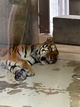 天王寺動物園に投稿された画像（2026/9/21）