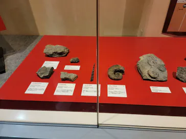 特別展　大絶滅展に投稿された画像（2026/9/21）