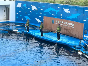 仙台うみの杜水族館に投稿された画像（2026/9/21）