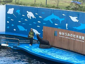 仙台うみの杜水族館に投稿された画像（2026/9/21）