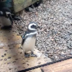 上越市立水族博物館 うみがたりに投稿された画像（2026/9/21）