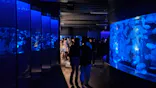 京都水族館に投稿された画像（2026/9/21）