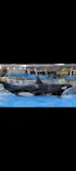 名古屋港水族館に投稿された画像（2026/9/21）