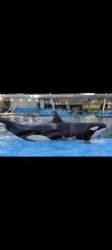 名古屋港水族館に投稿された画像（2026/9/21）