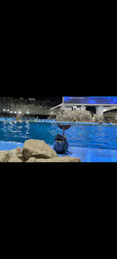 名古屋港水族館に投稿された画像（2026/9/21）