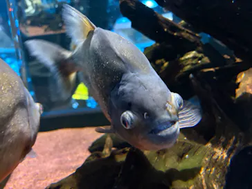 AQUARIUM × ART　atoaに投稿された画像（2026/9/21）